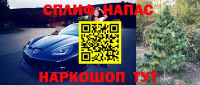 дмт Бузулук