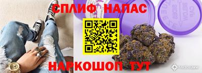 прущие крисы Будённовск