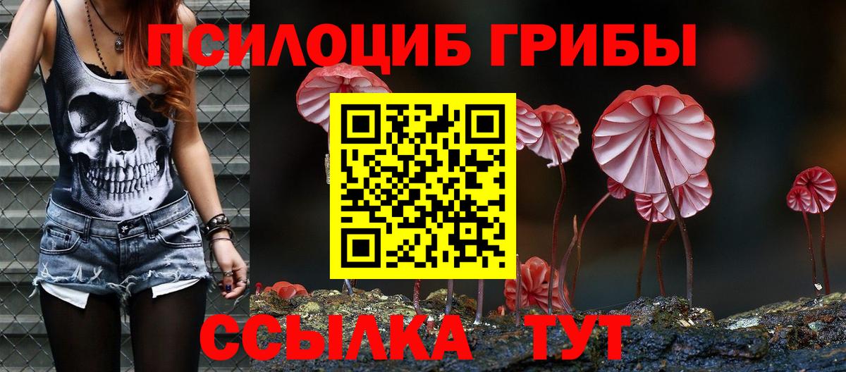 Псилоцибиновые грибы Psilocybe  Вход с VPN  Приморско-Ахтарск 