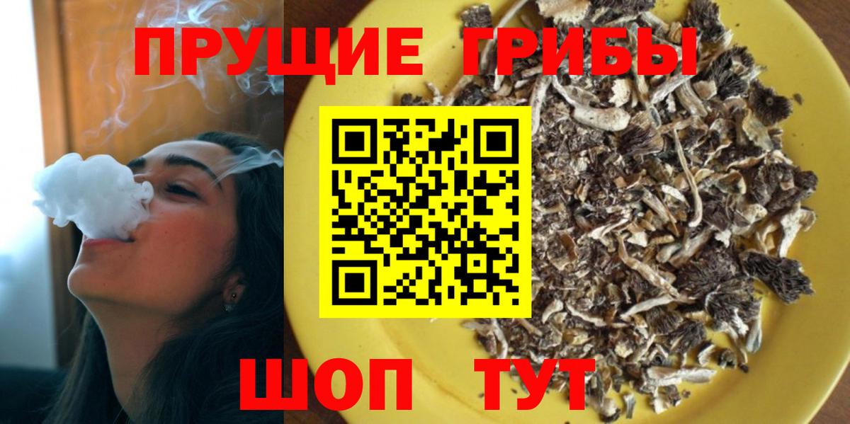 Галлюциногенные грибы Psilocybine cubensis Приморско-Ахтарск